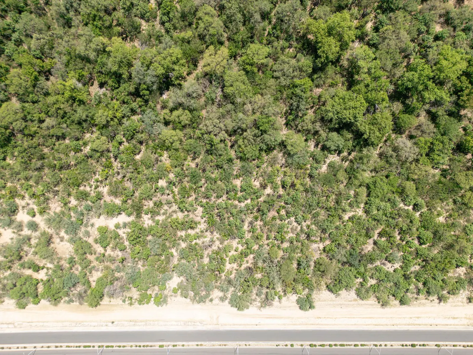 Miraflores Lot