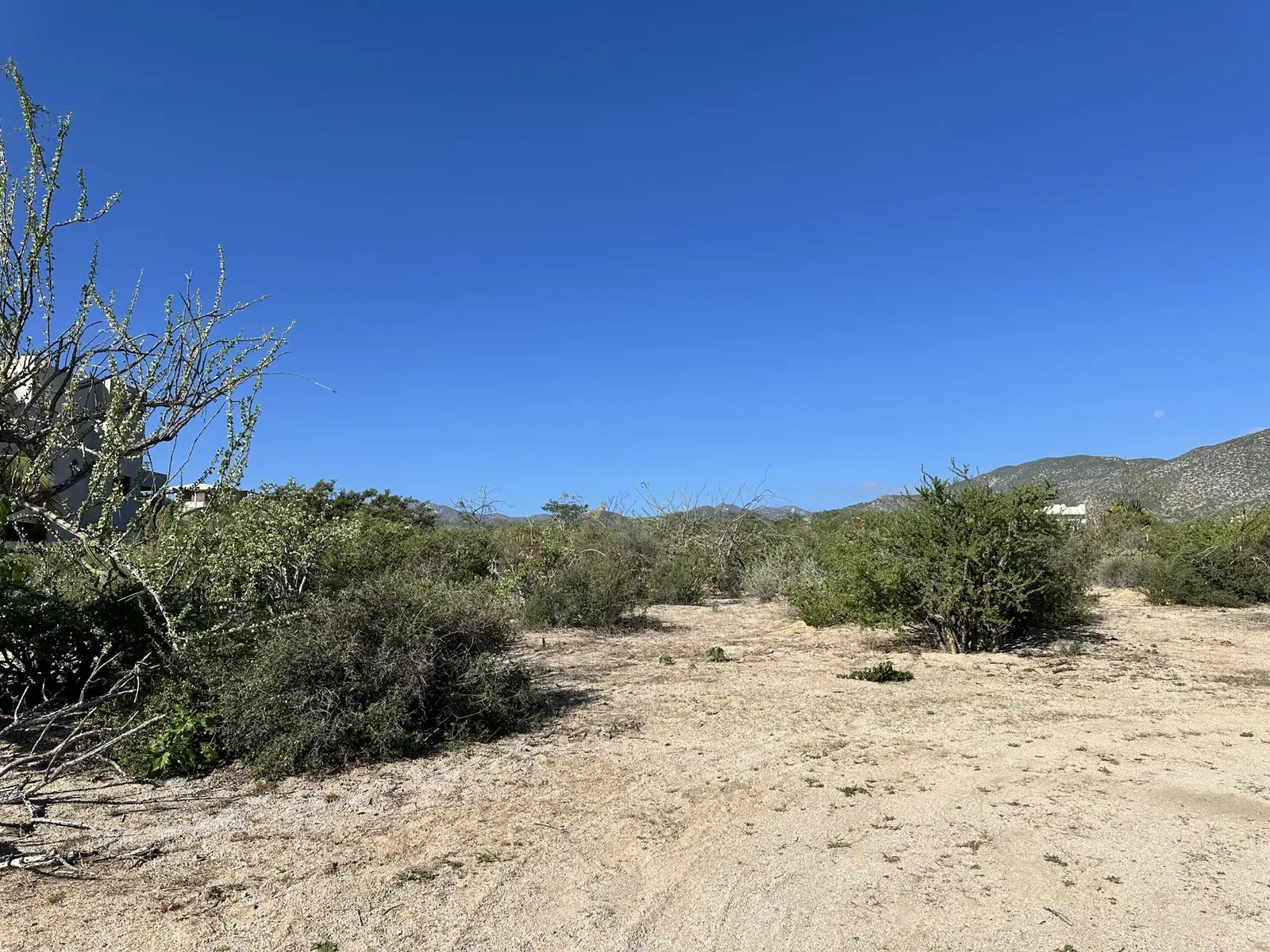 Vista Grande Lot
