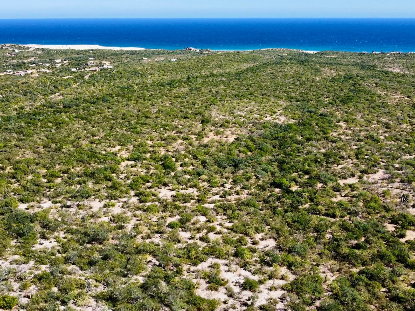 Boca del Salado