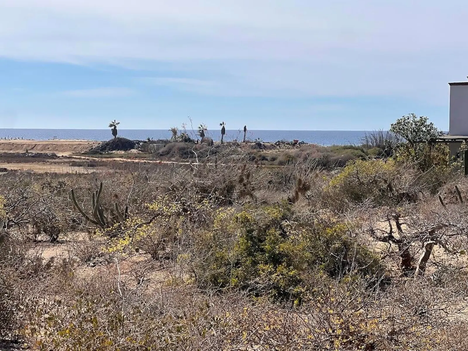 Cerritos Surf Break Access