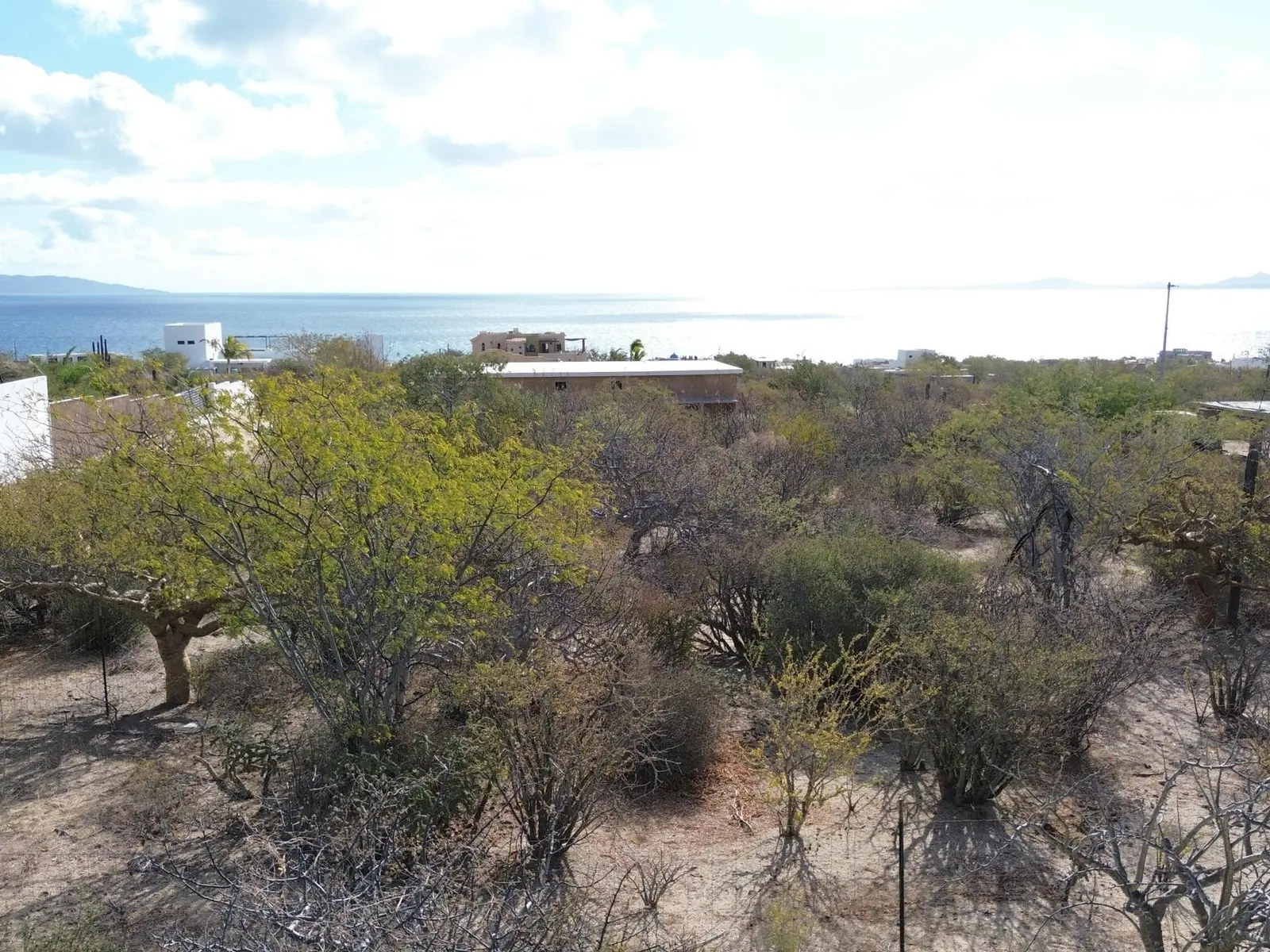 Coral Lot
