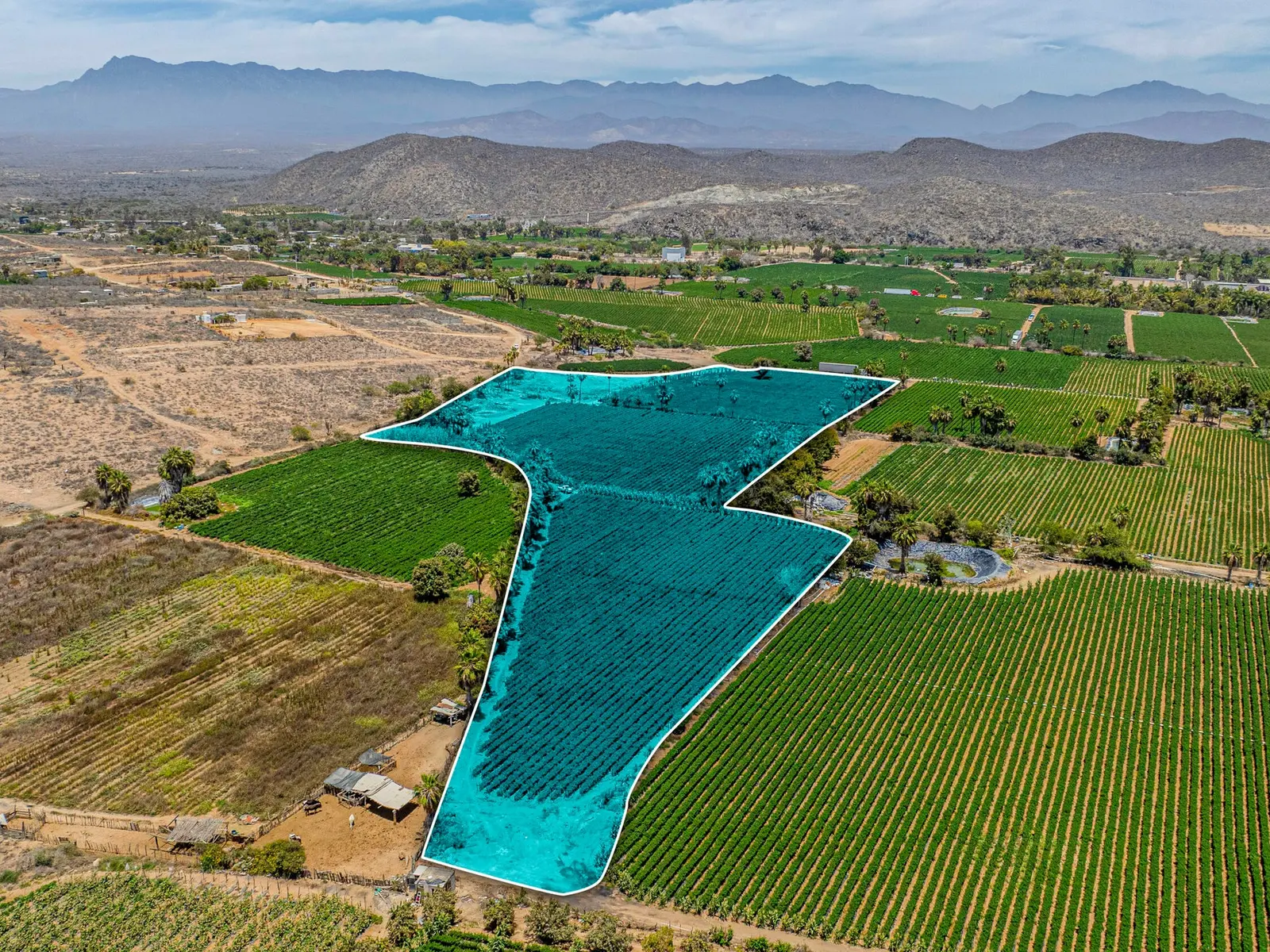 Rare Gem: Lush Farmland