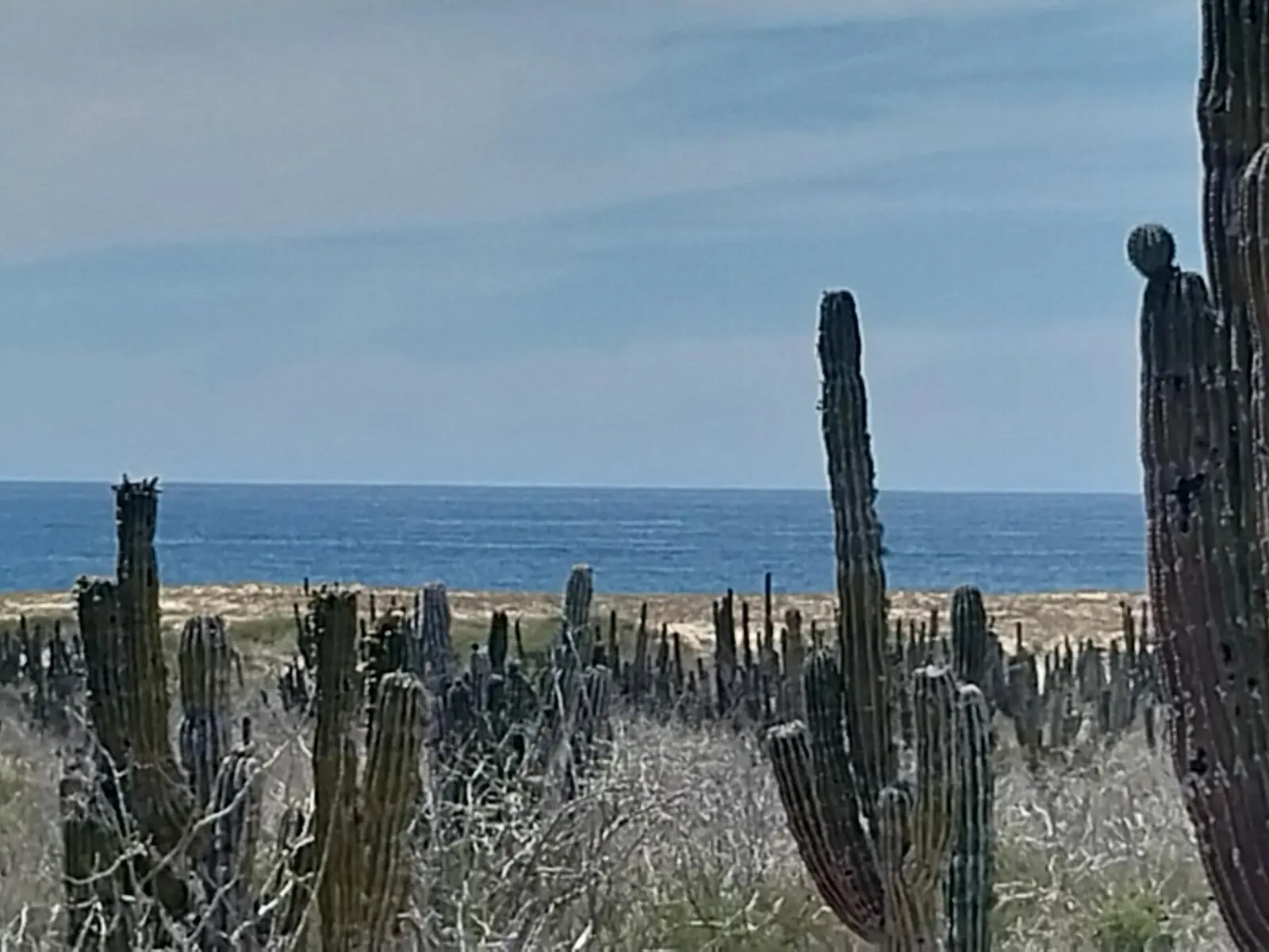 3rd Tier Playitas Oceanfront