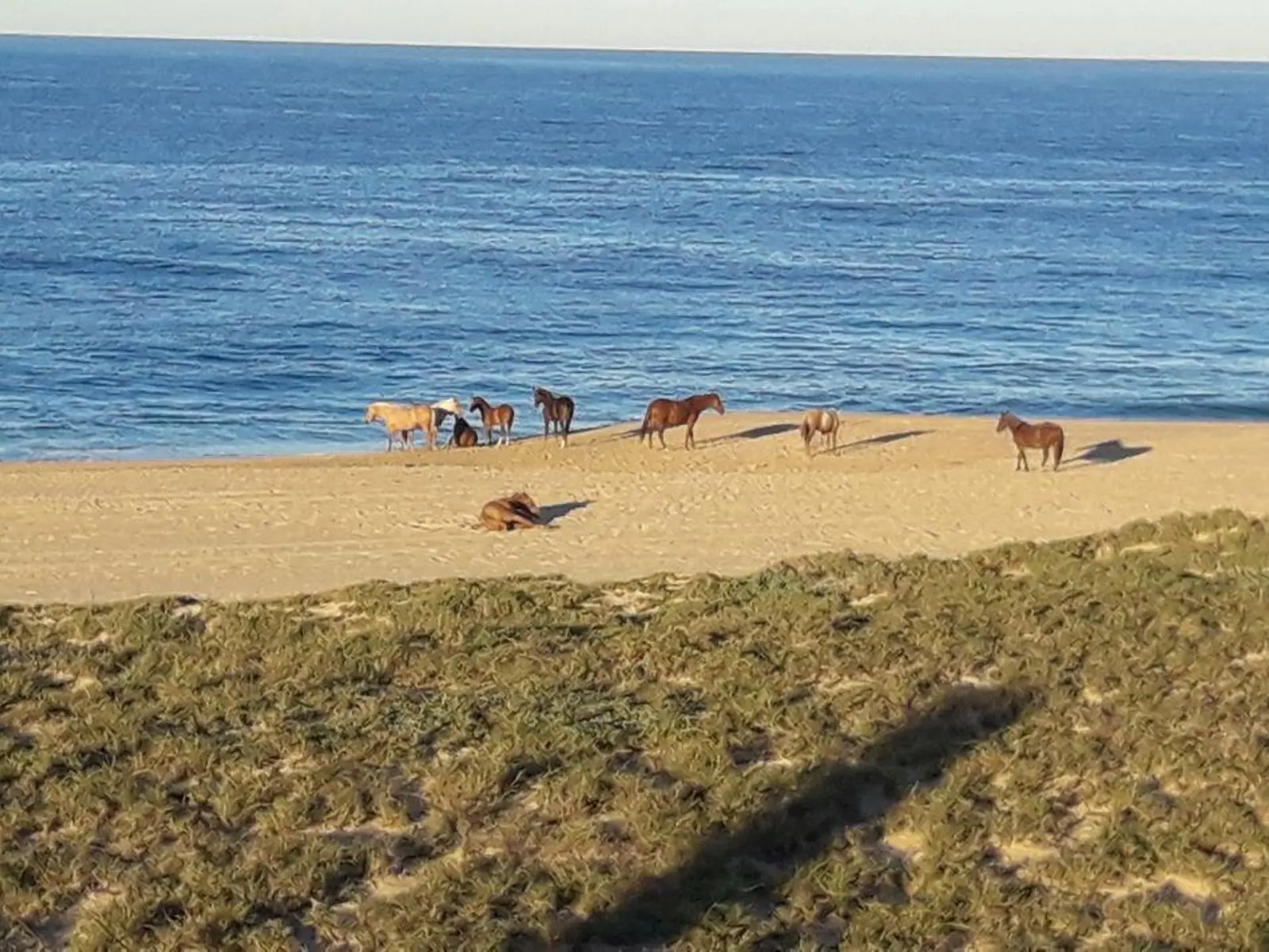 Camino Las Playitas,
