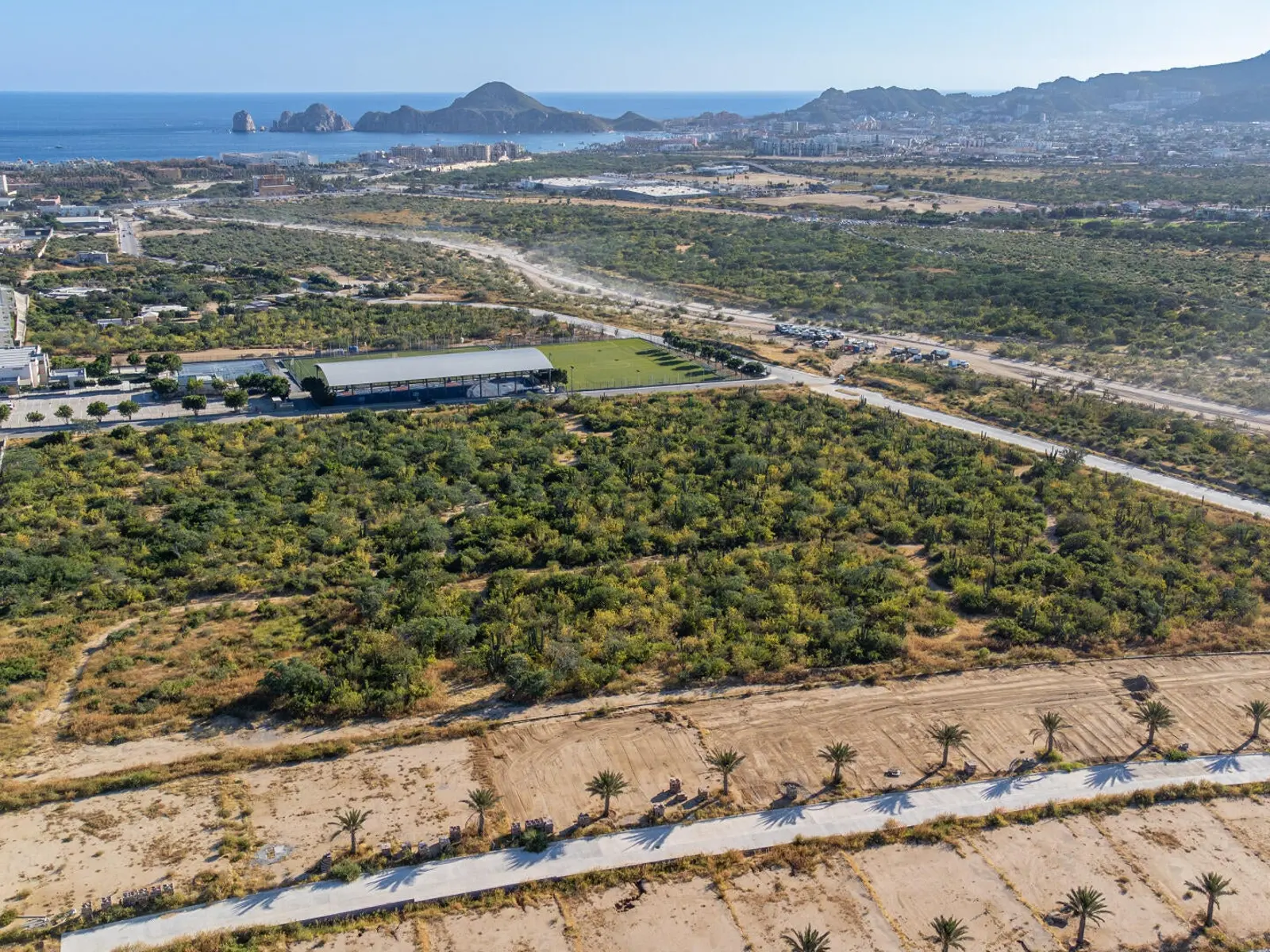 Lote 5