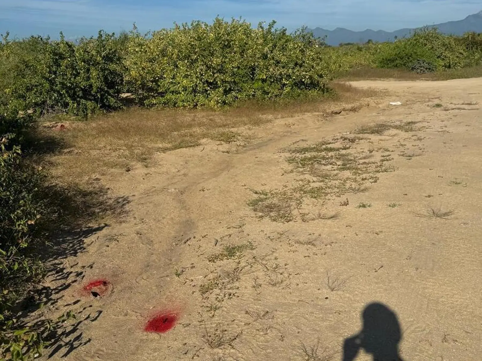 TERRENO ELIAS CALLES BCS