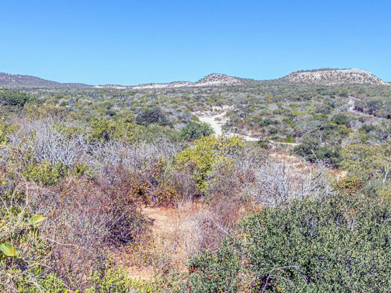 Oceanview lot 6