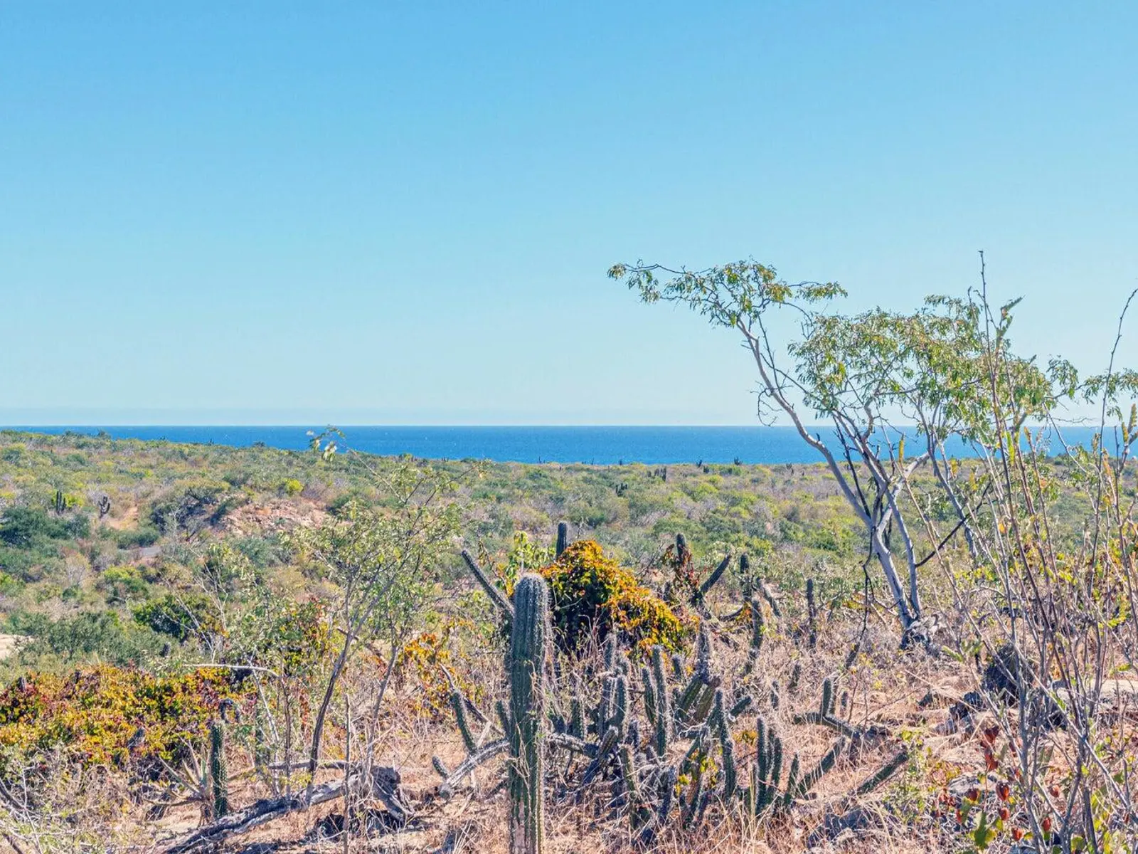 Oceanview lot 6