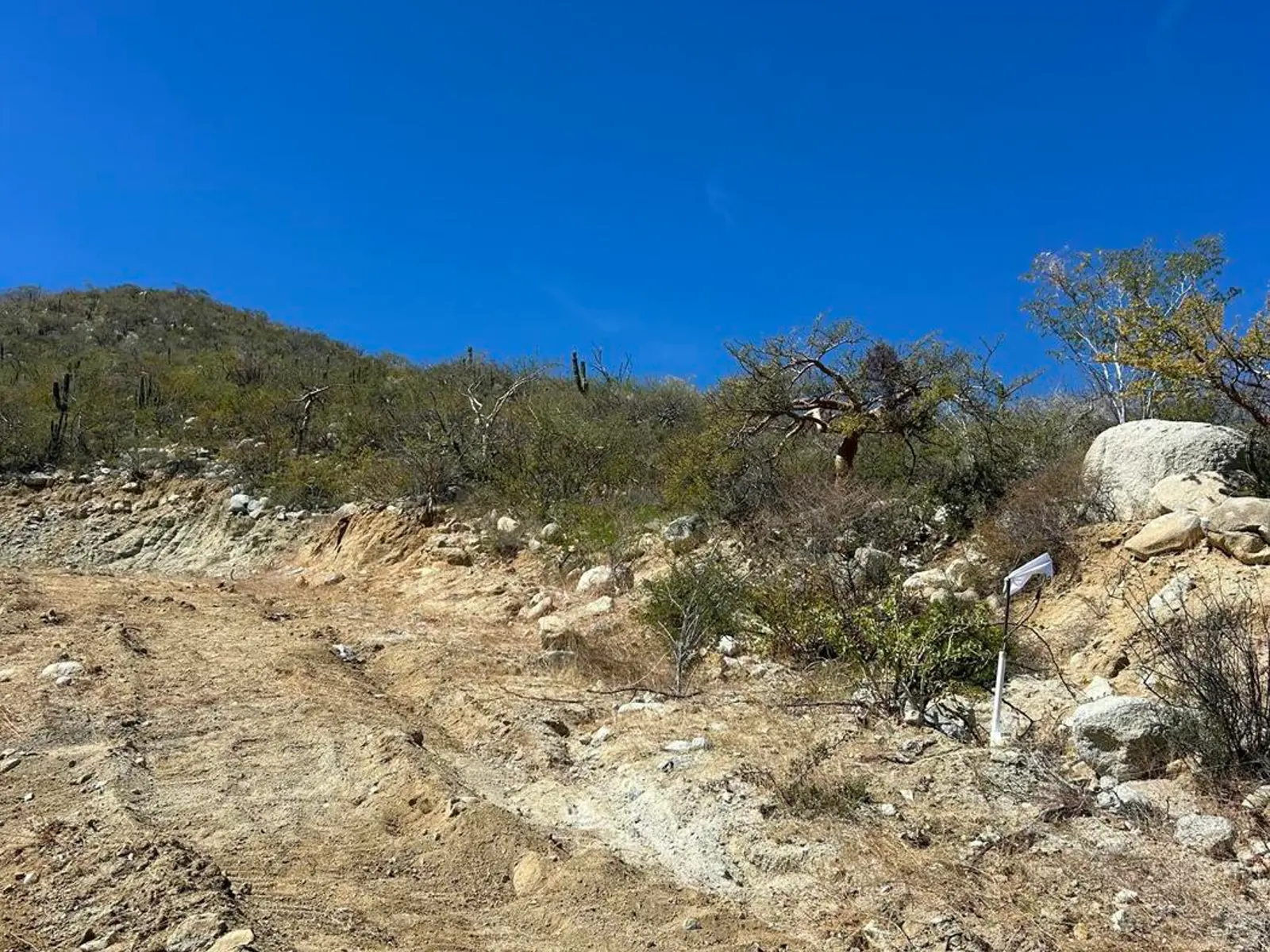 Cortes View lot Buena Vista