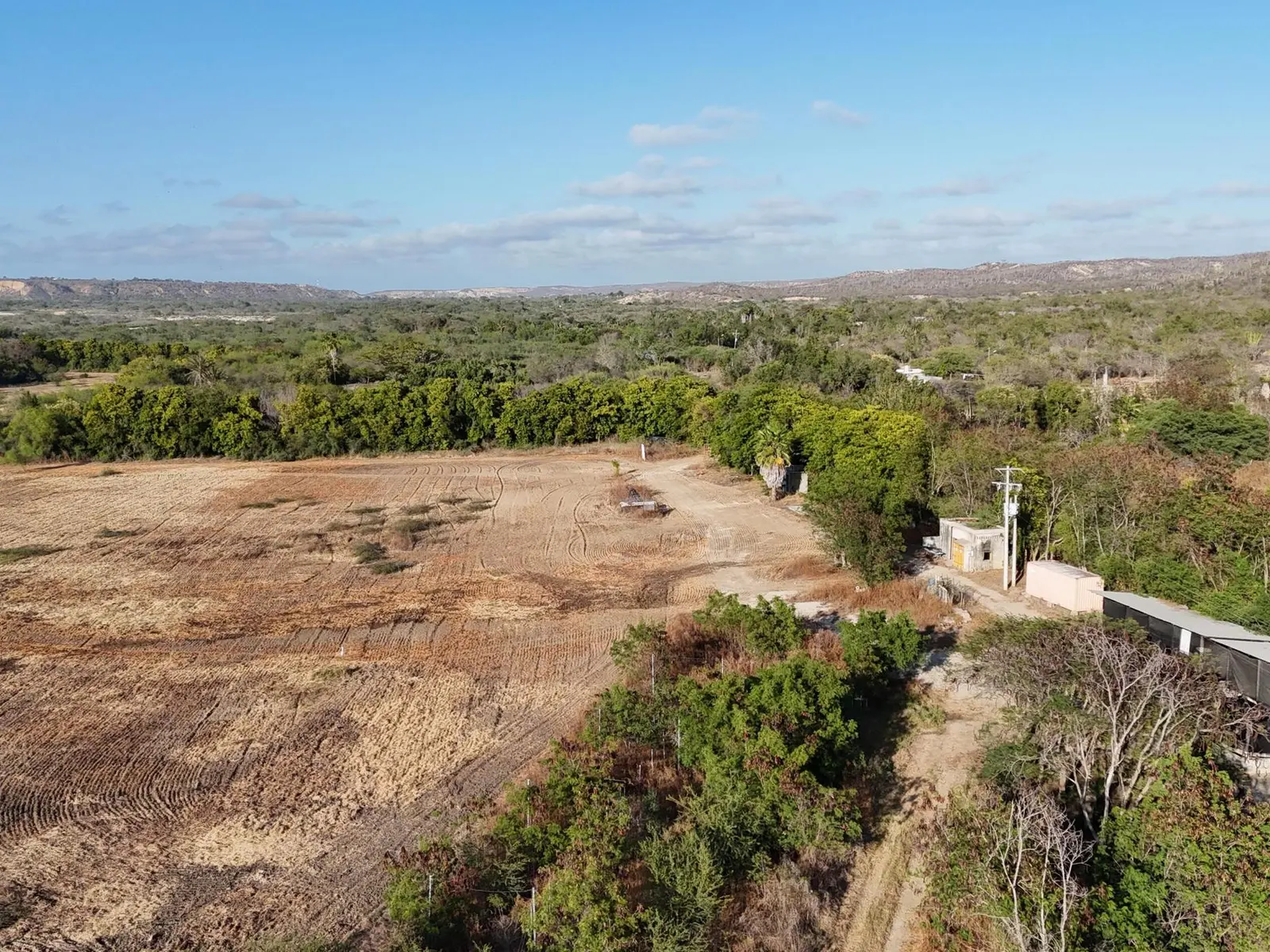 Organic Farm Estate