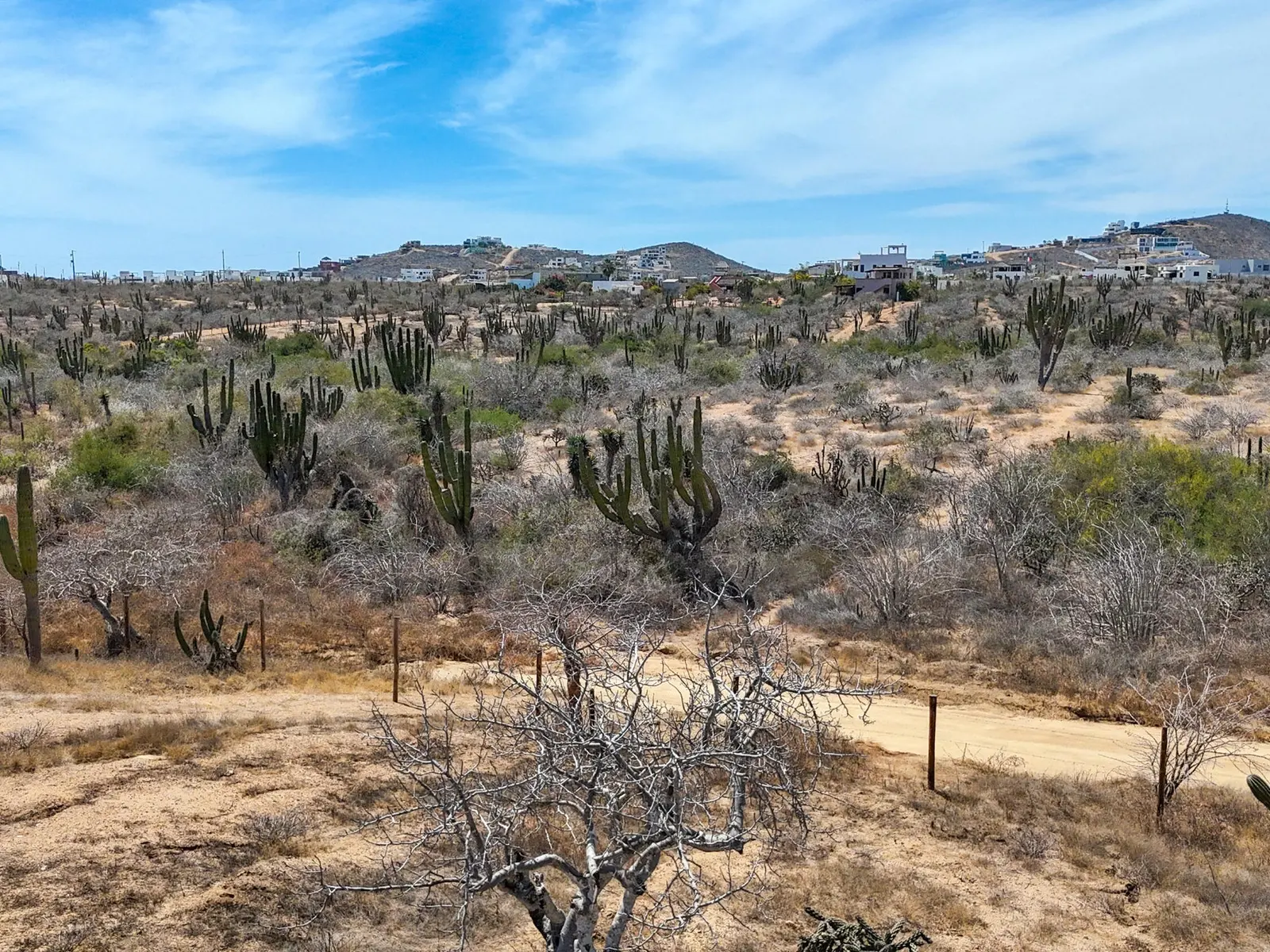 Cerritos Full Acre View Lot