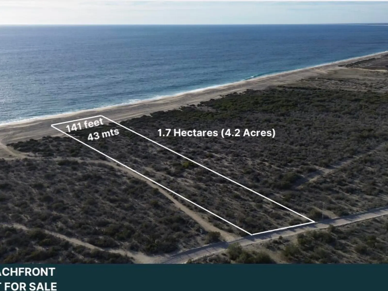 Ocean Front Land