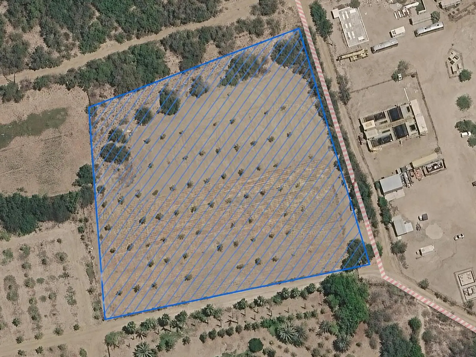 Terreno | Huerto La Ribera