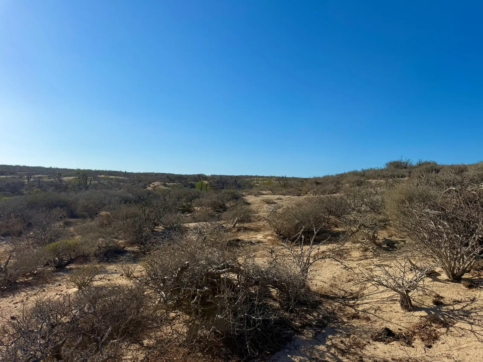 Playa Tortuga Homesite 35