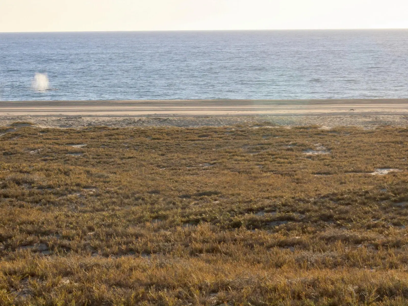 Beach Front (51mts)Agua Blanca