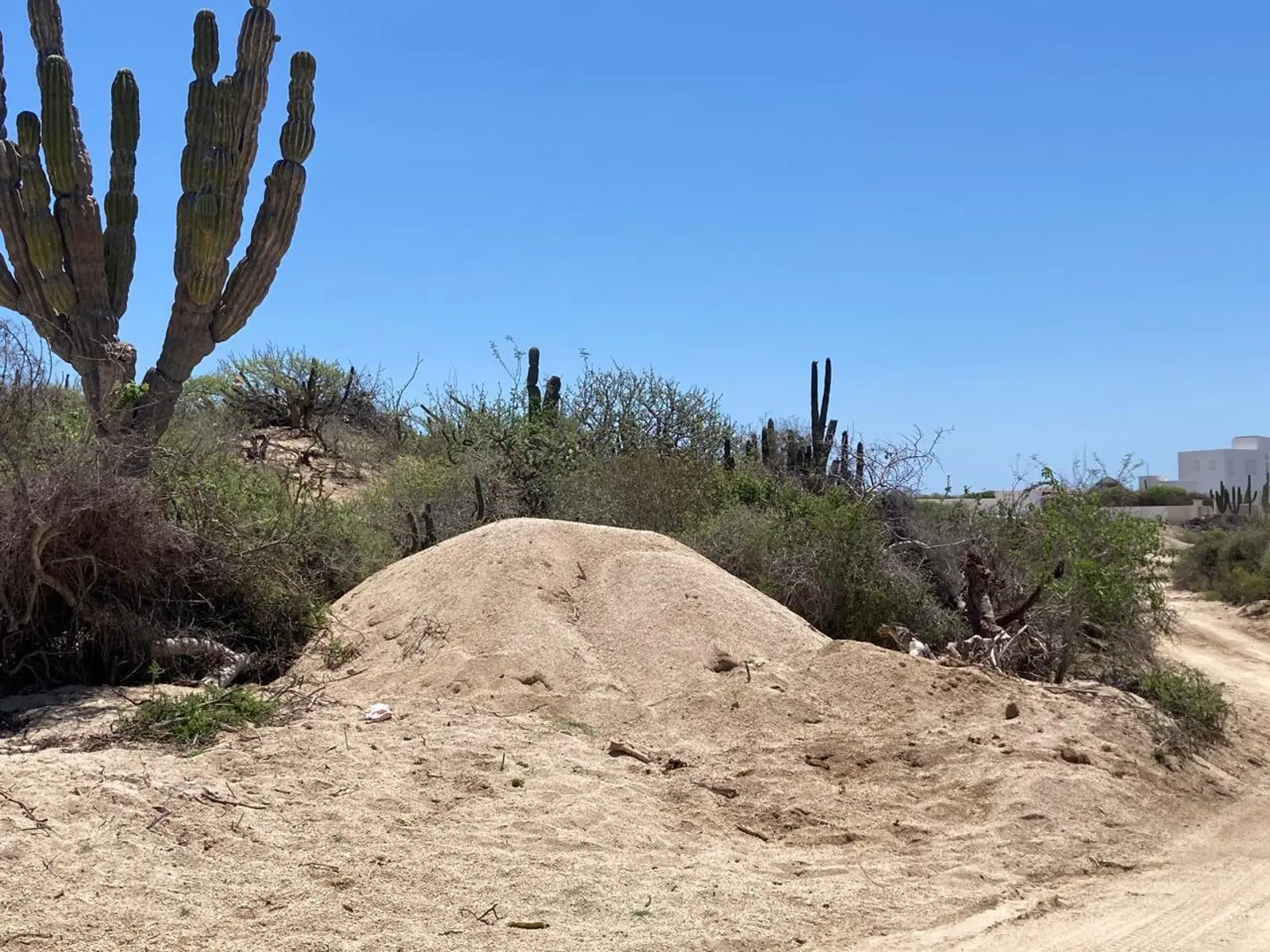 Rancho Tortuga Lot