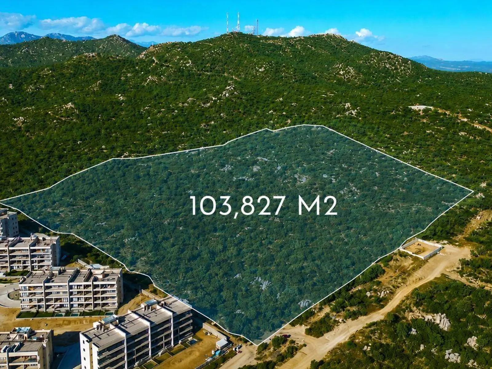 Lot 1Z1