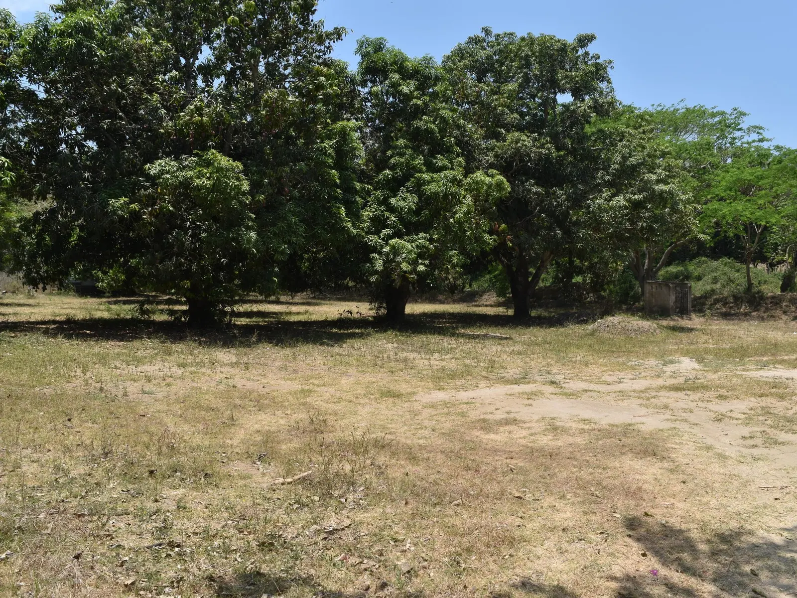 Sayulita Land