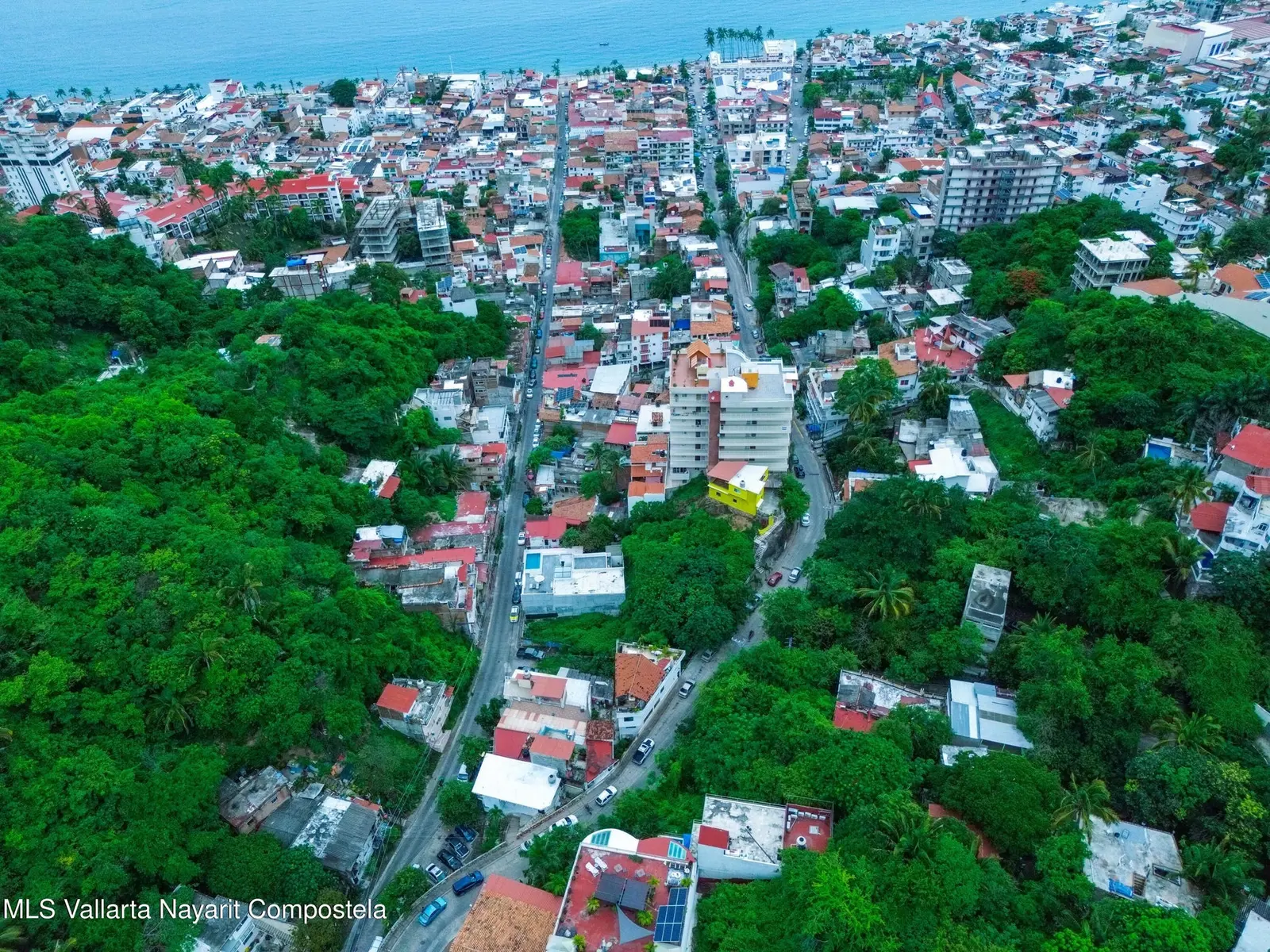 Lote Allende