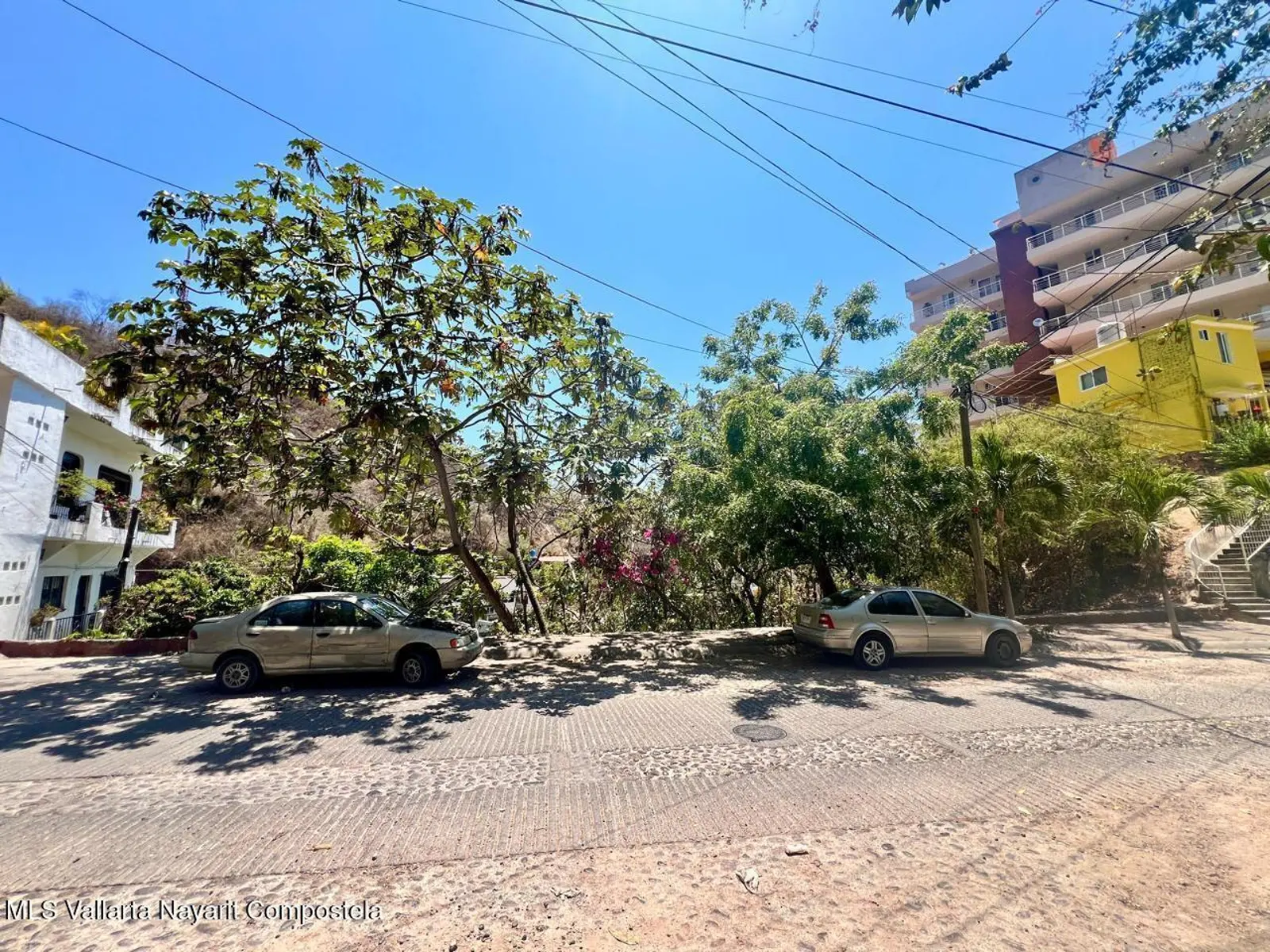 Lote Allende