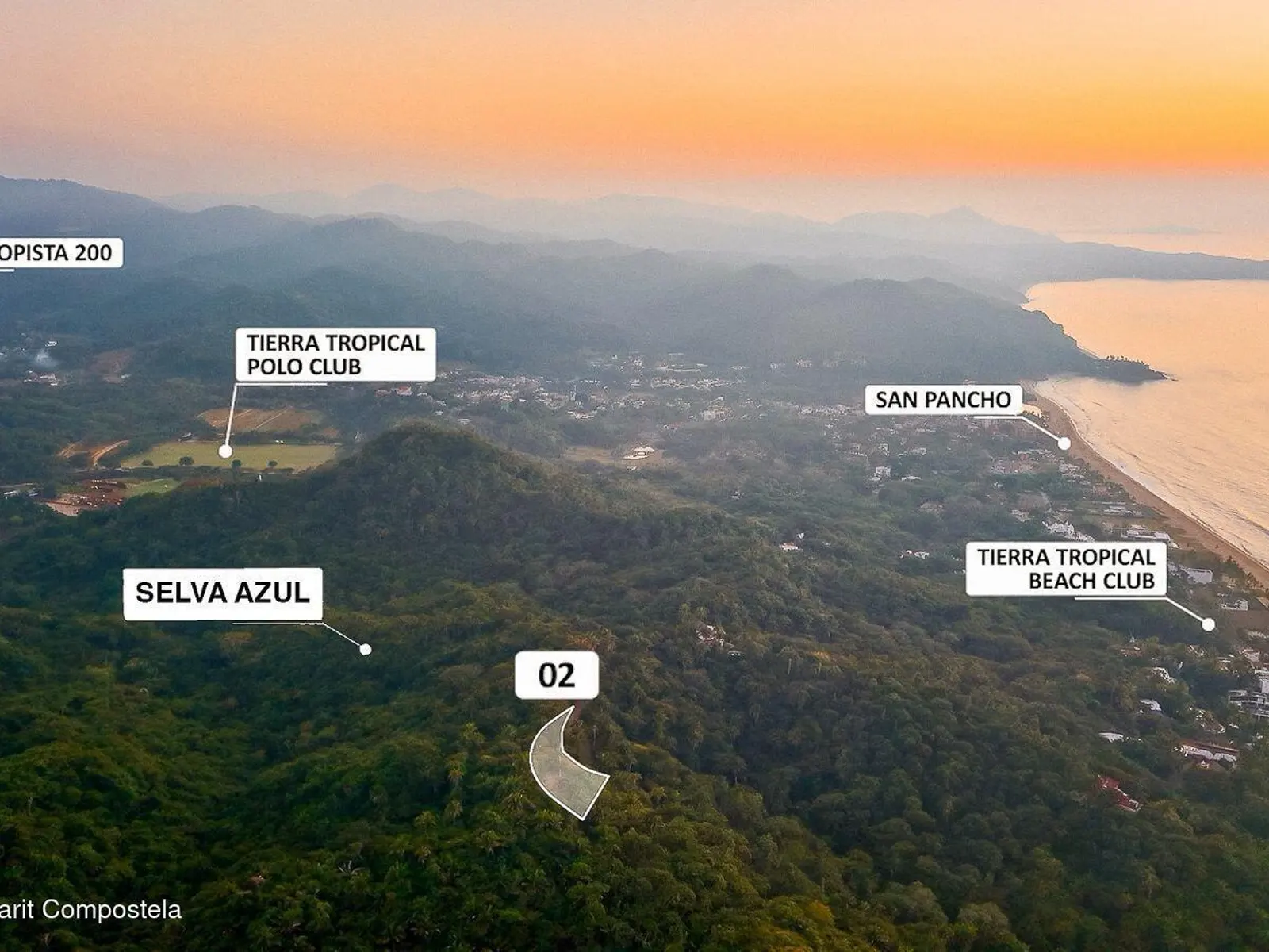Selva Azul Lote #2