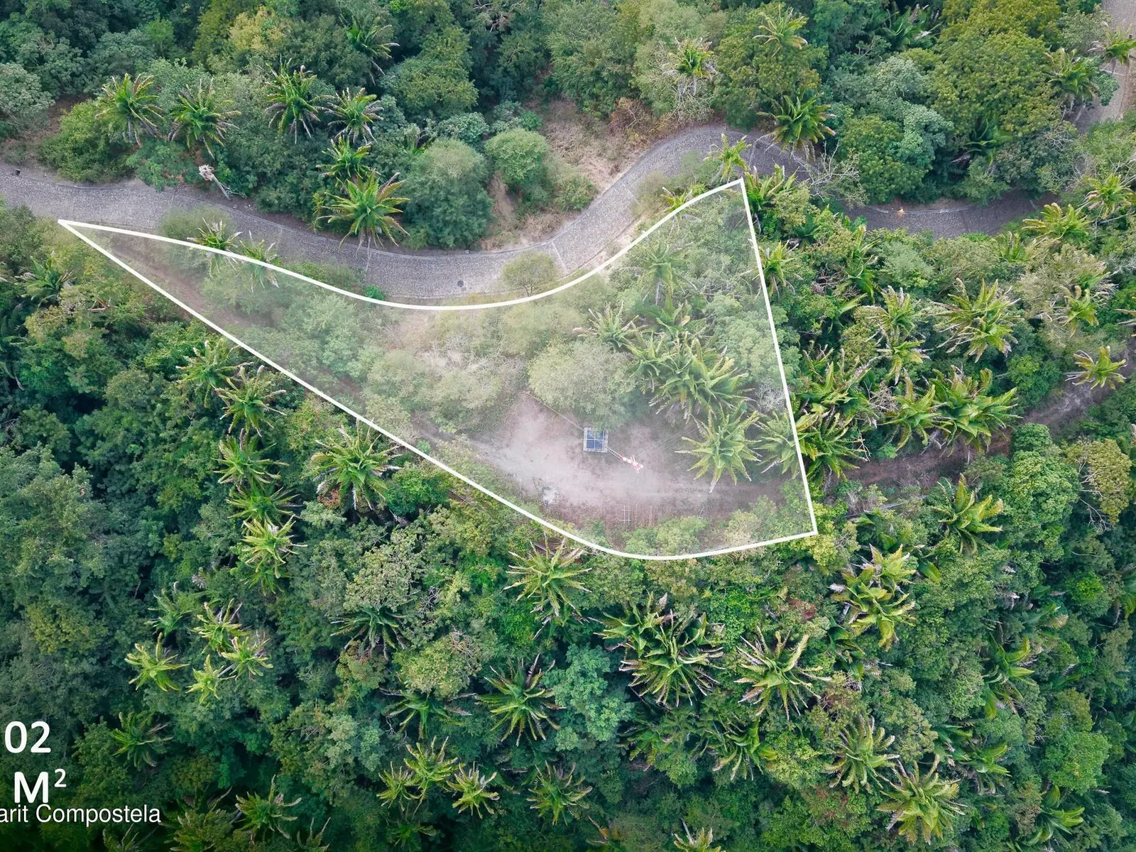 Selva Azul Lote #2