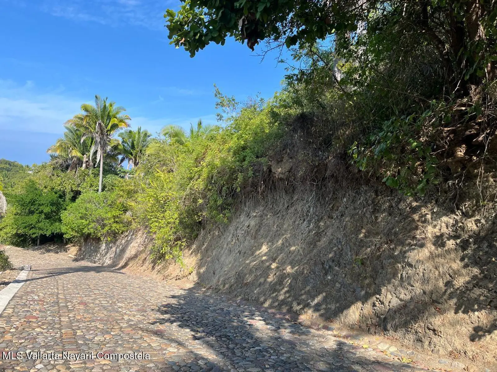 Selva Azul Lote # 4