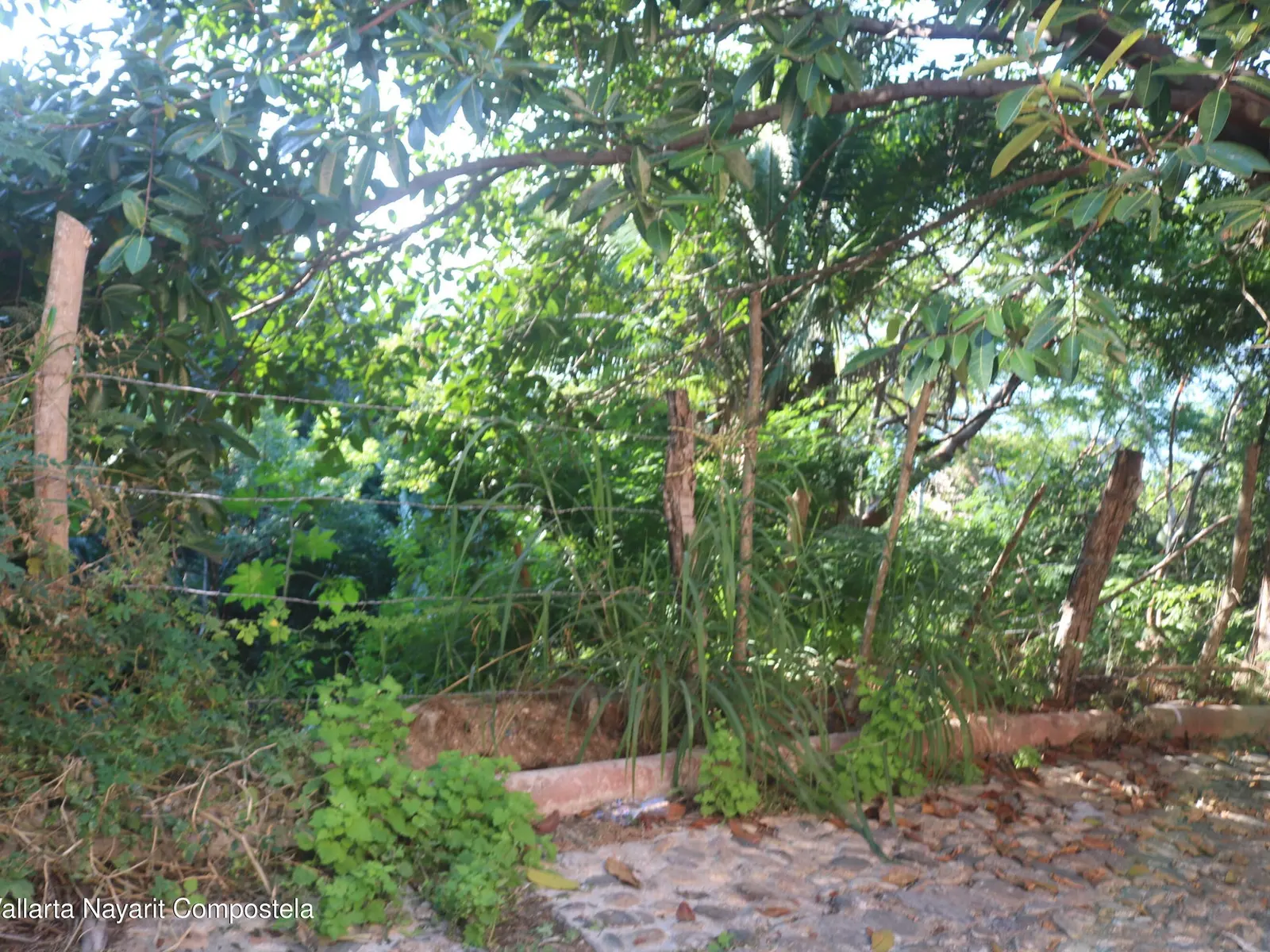 Chachalaca Lot Three