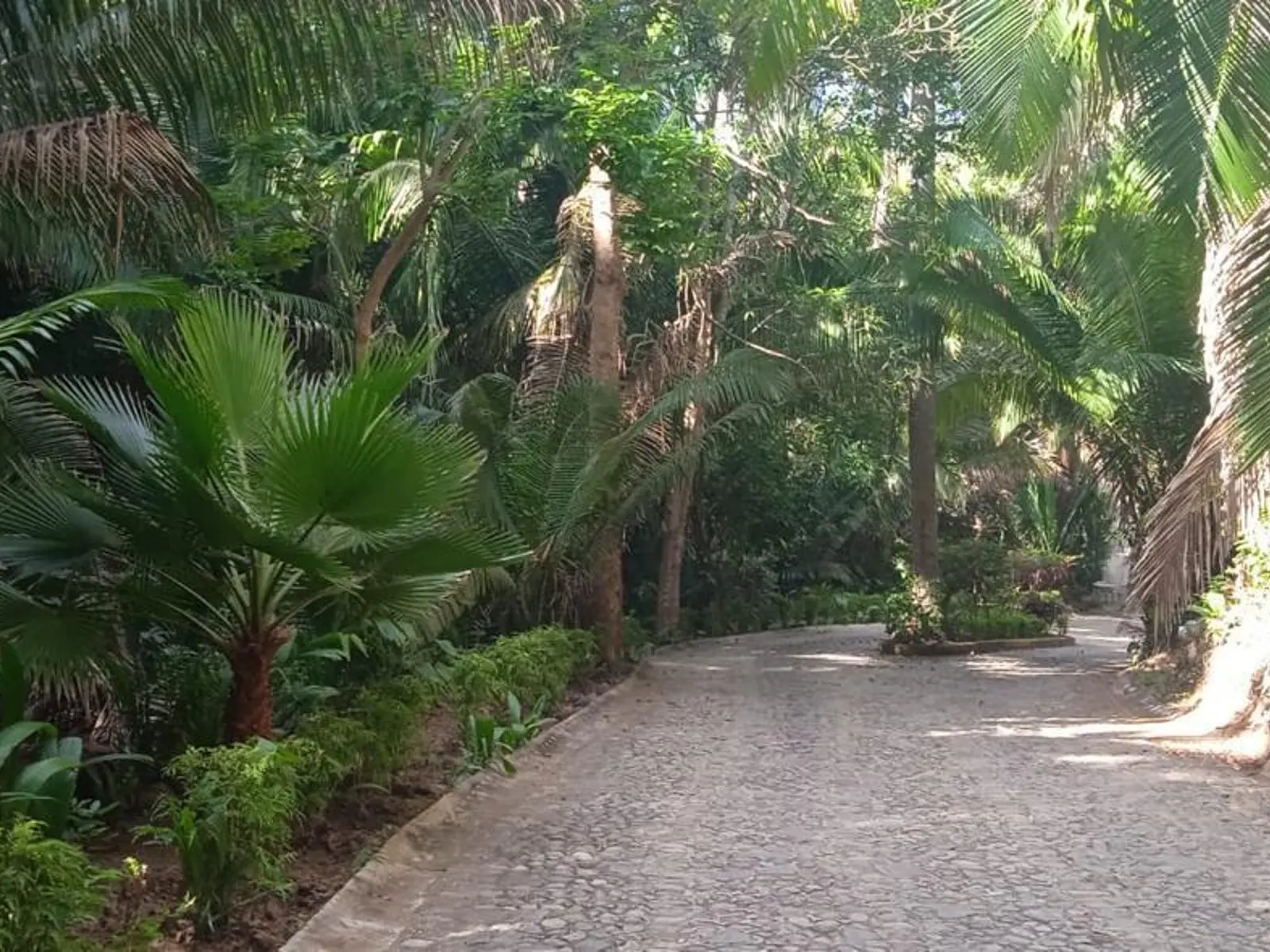 RESIDENCIAL SELVA AZUL LOTE 8