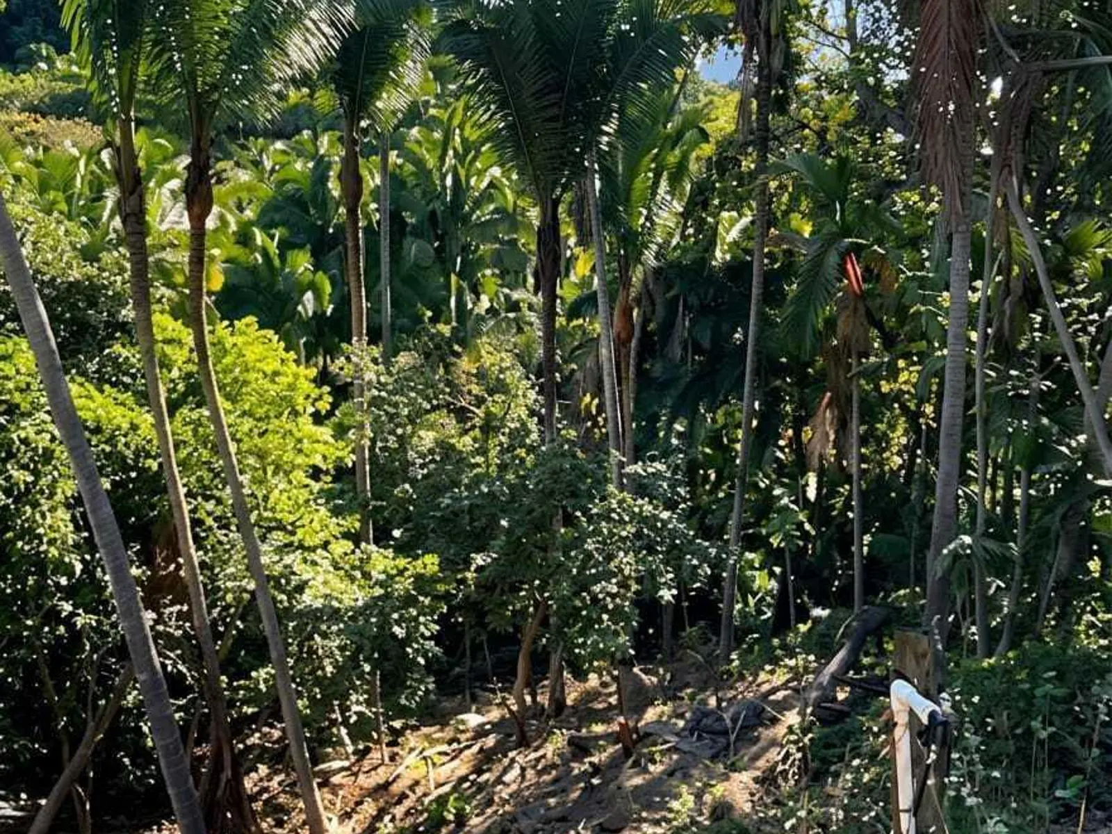 RESIDENCIAL SELVA AZUL LOTE 8
