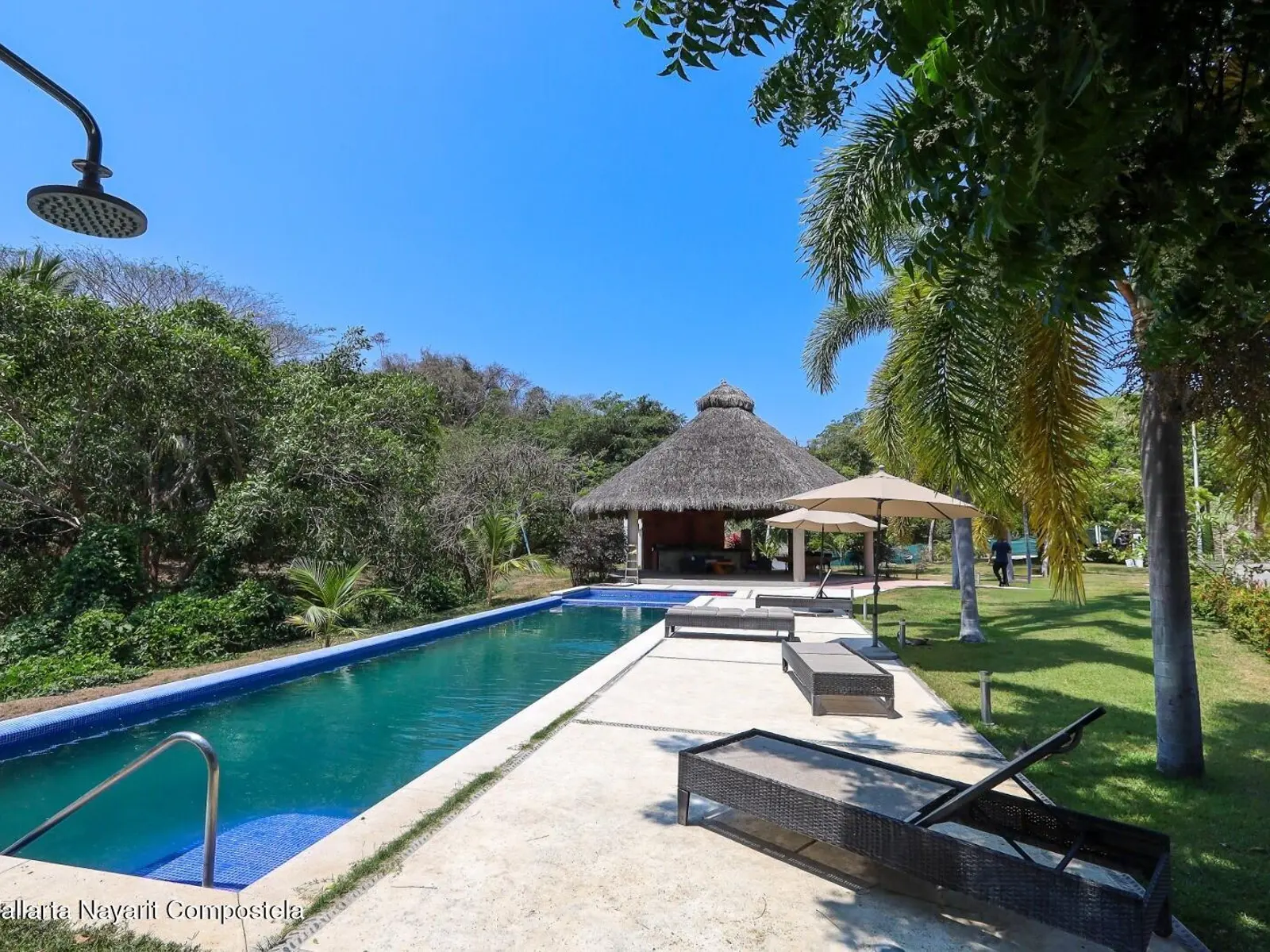 Lote Selva