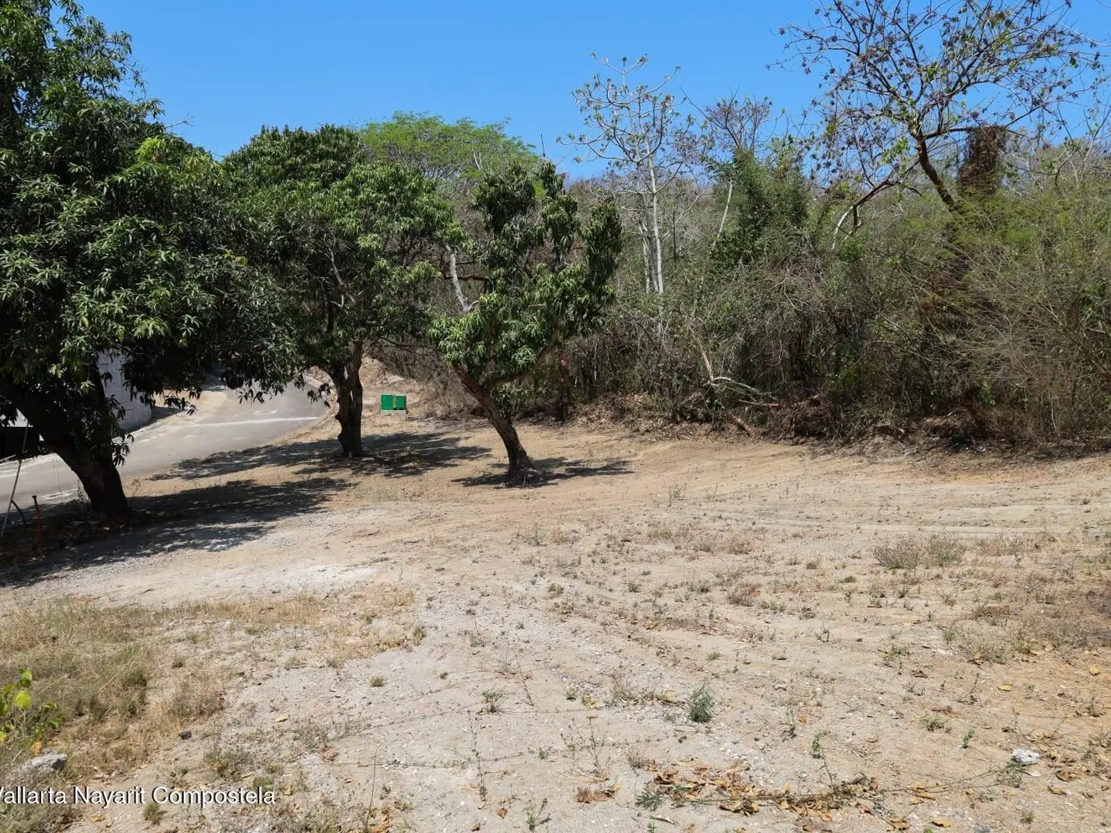 Lote Selva