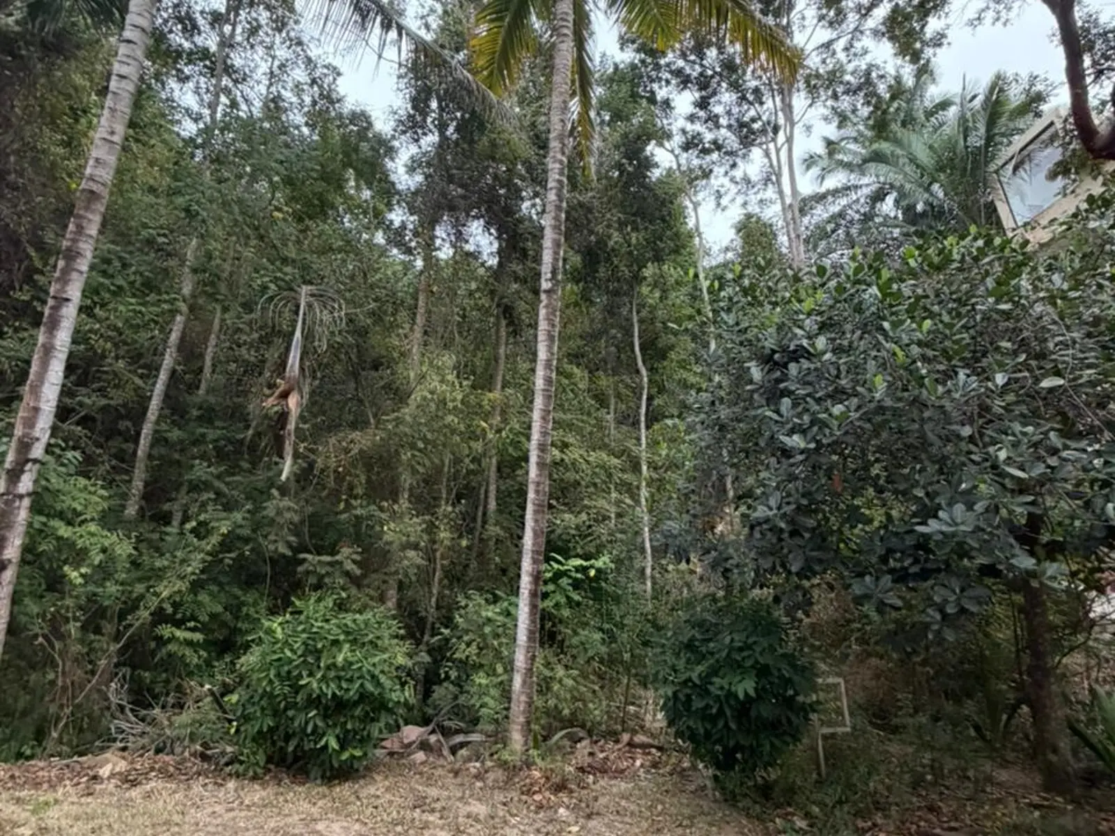 SAN XOAQUIN
